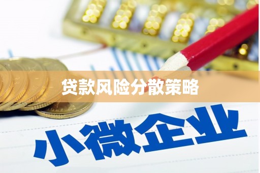 南乐贷款风险分散策略