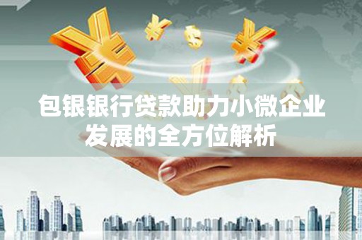 南乐包银银行贷款助力小微企业发展的全方位解析