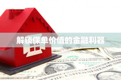 南乐解锁保单价值的金融利器