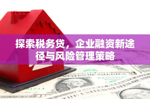 南乐探索税务贷，企业融资新途径与风险管理策略