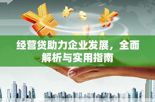 南乐经营贷助力企业发展，全面解析与实用指南