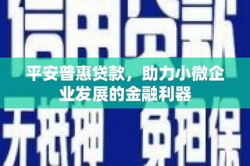 南乐平安普惠贷款，助力小微企业发展的金融利器
