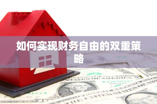 南乐如何实现财务自由的双重策略