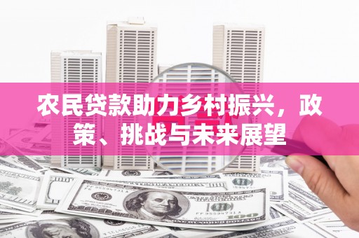 南乐农民贷款助力乡村振兴，政策、挑战与未来展望
