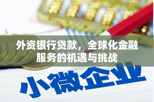 南乐外资银行贷款，全球化金融服务的机遇与挑战