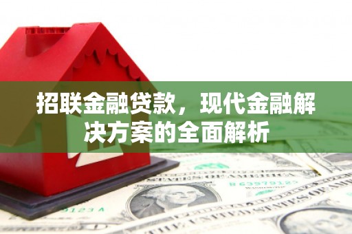 南乐招联金融贷款，现代金融解决方案的全面解析