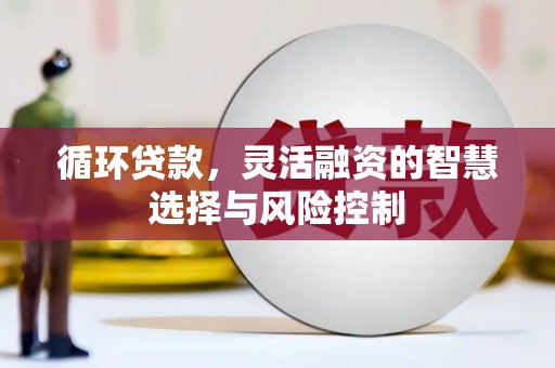 南乐循环贷款，灵活融资的智慧选择与风险控制
