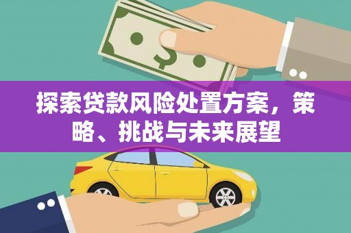 南乐探索贷款风险处置方案，策略、挑战与未来展望