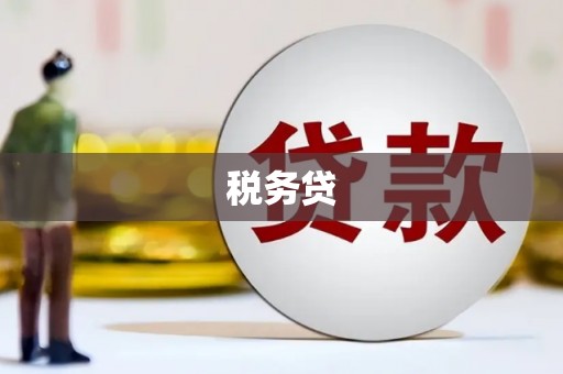 南乐税务贷