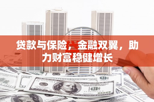 南乐贷款与保险，金融双翼，助力财富稳健增长