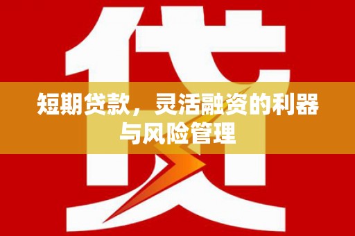 南乐短期贷款，灵活融资的利器与风险管理
