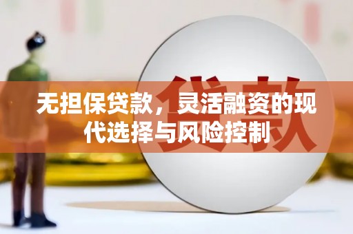 南乐无担保贷款，灵活融资的现代选择与风险控制