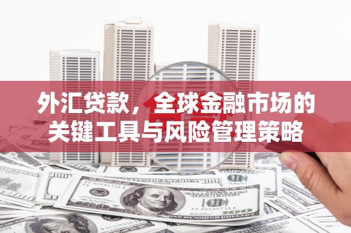 南乐外汇贷款，全球金融市场的关键工具与风险管理策略