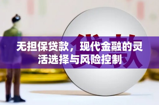 南乐无担保贷款，现代金融的灵活选择与风险控制