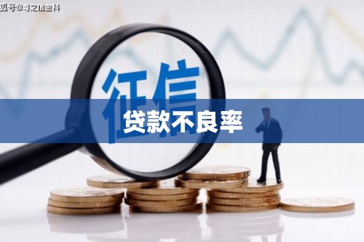 南乐贷款不良率