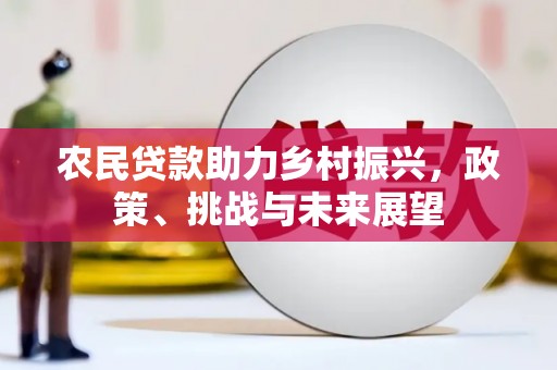 南乐农民贷款助力乡村振兴，政策、挑战与未来展望