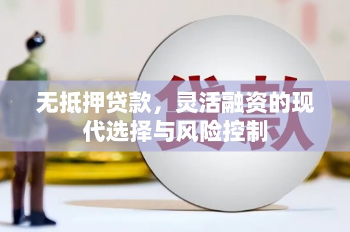 南乐无抵押贷款，灵活融资的现代选择与风险控制