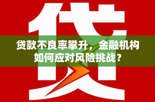 南乐贷款不良率攀升，金融机构如何应对风险挑战？