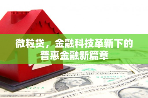 南乐微粒贷，金融科技革新下的普惠金融新篇章