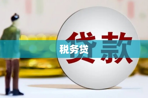 南乐税务贷