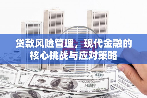 南乐贷款风险管理，现代金融的核心挑战与应对策略
