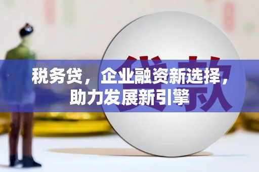 南乐税务贷，企业融资新选择，助力发展新引擎