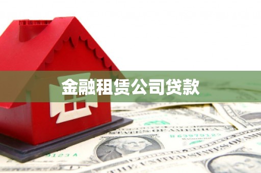 南乐金融租赁公司贷款