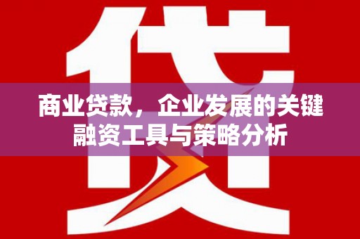 南乐商业贷款，企业发展的关键融资工具与策略分析