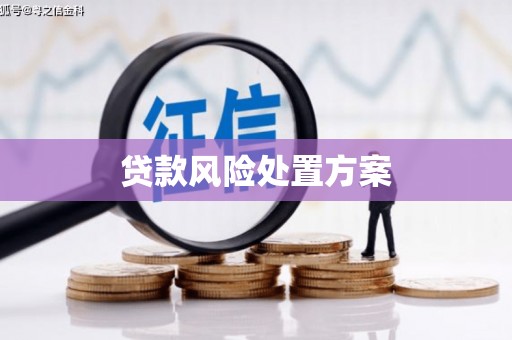 南乐贷款风险处置方案