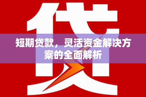 南乐短期贷款，灵活资金解决方案的全面解析