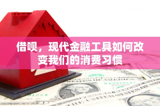 南乐借呗，现代金融工具如何改变我们的消费习惯