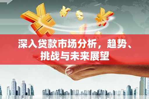 南乐深入贷款市场分析，趋势、挑战与未来展望