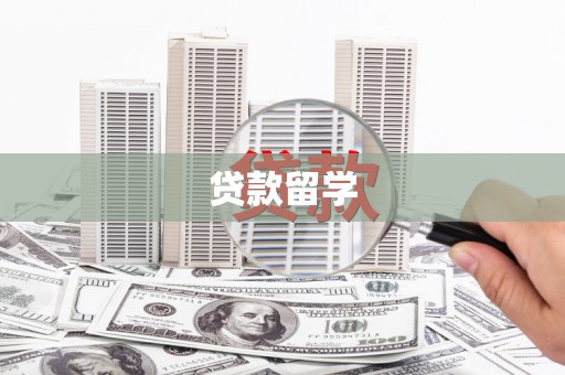 南乐贷款留学