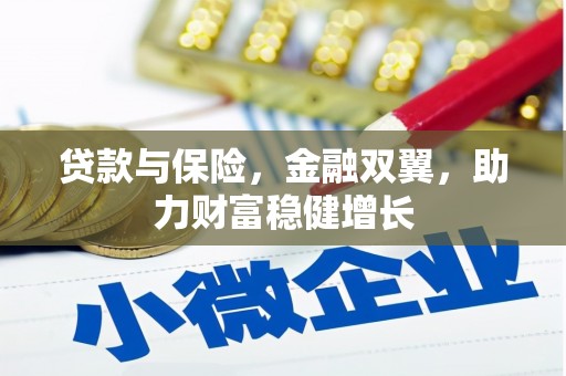 南乐贷款与保险，金融双翼，助力财富稳健增长