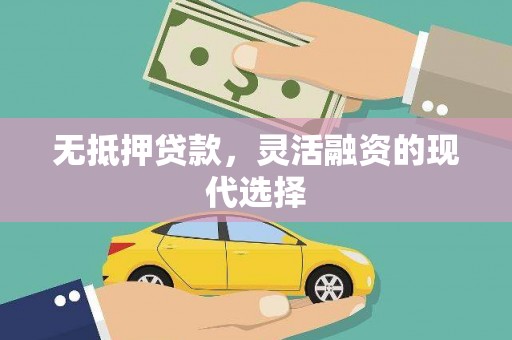 南乐无抵押贷款，灵活融资的现代选择