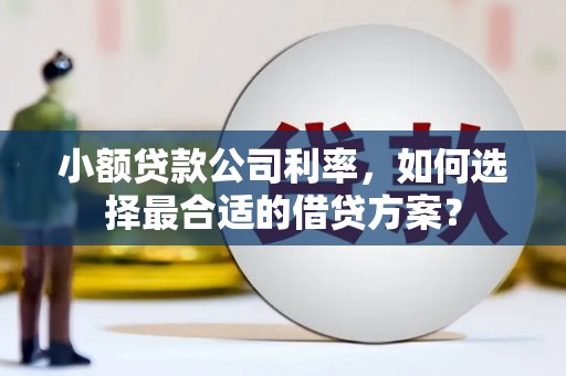 南乐小额贷款公司利率，如何选择最合适的借贷方案？