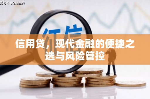 南乐信用贷，现代金融的便捷之选与风险管控