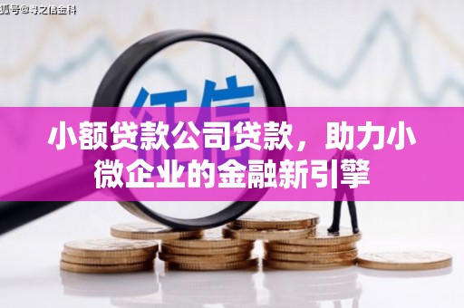 南乐小额贷款公司贷款，助力小微企业的金融新引擎