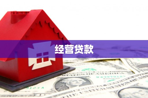 南乐经营贷款