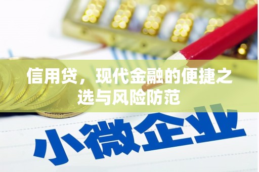 南乐信用贷，现代金融的便捷之选与风险防范