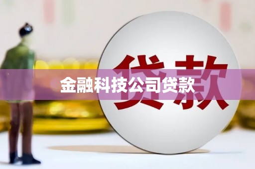 南乐金融科技公司贷款