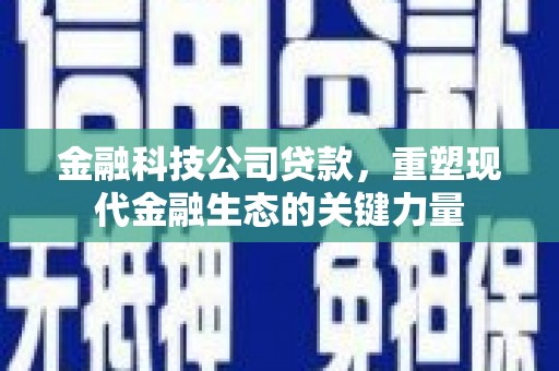 南乐金融科技公司贷款，重塑现代金融生态的关键力量