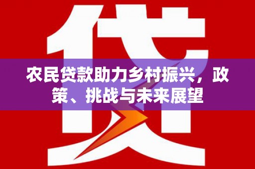 南乐农民贷款助力乡村振兴，政策、挑战与未来展望