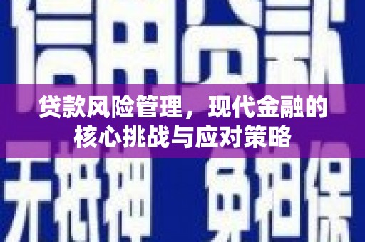南乐贷款风险管理，现代金融的核心挑战与应对策略