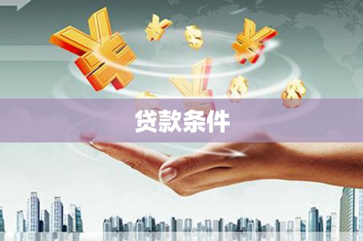 南乐贷款条件