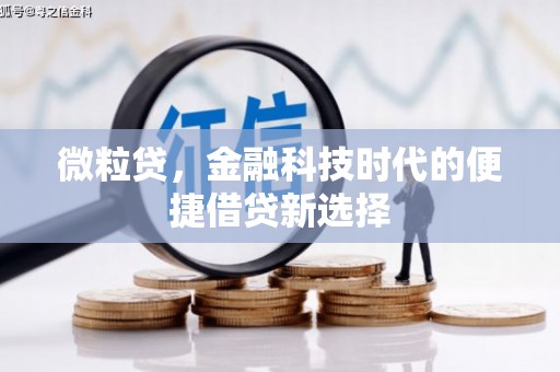 南乐微粒贷，金融科技时代的便捷借贷新选择