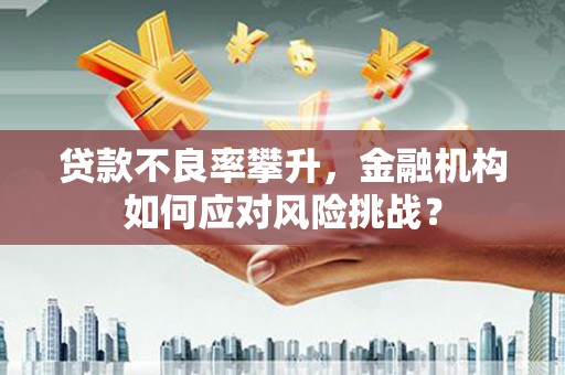 南乐贷款不良率攀升，金融机构如何应对风险挑战？