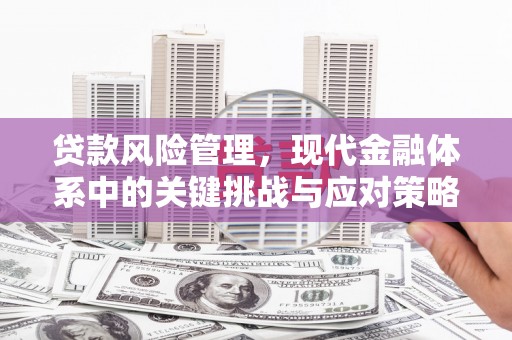 南乐贷款风险管理，现代金融体系中的关键挑战与应对策略
