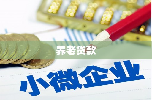 南乐养老贷款