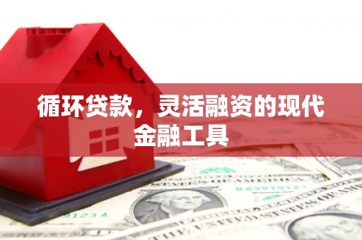 南乐循环贷款，灵活融资的现代金融工具